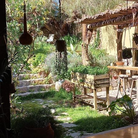 Apartamento En El Vivero 蒂尔卡拉 外观 照片