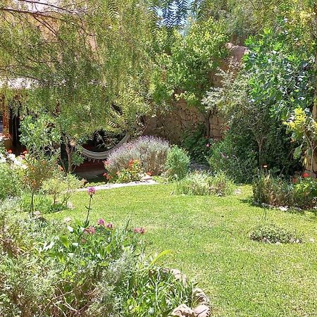 Apartamento En El Vivero 蒂尔卡拉 外观 照片