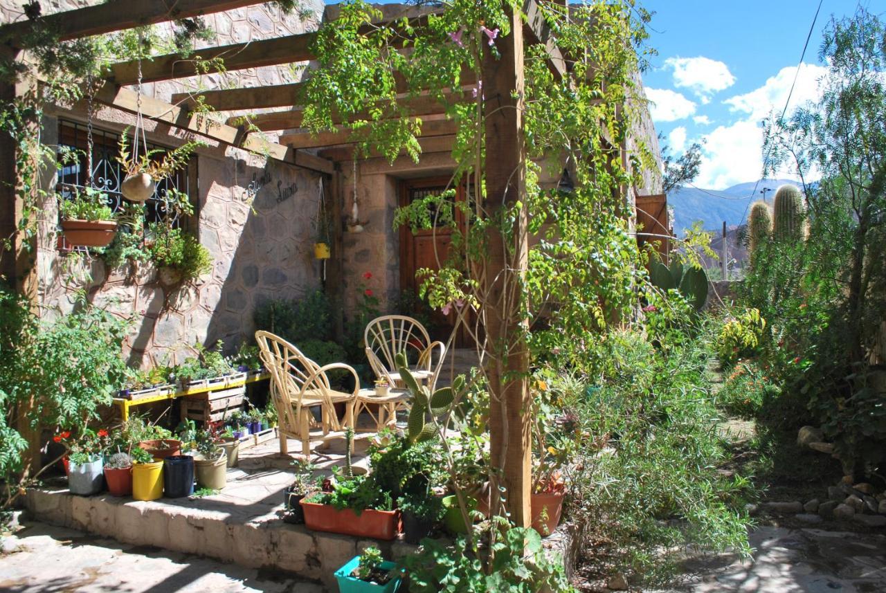 Apartamento En El Vivero 蒂尔卡拉 外观 照片