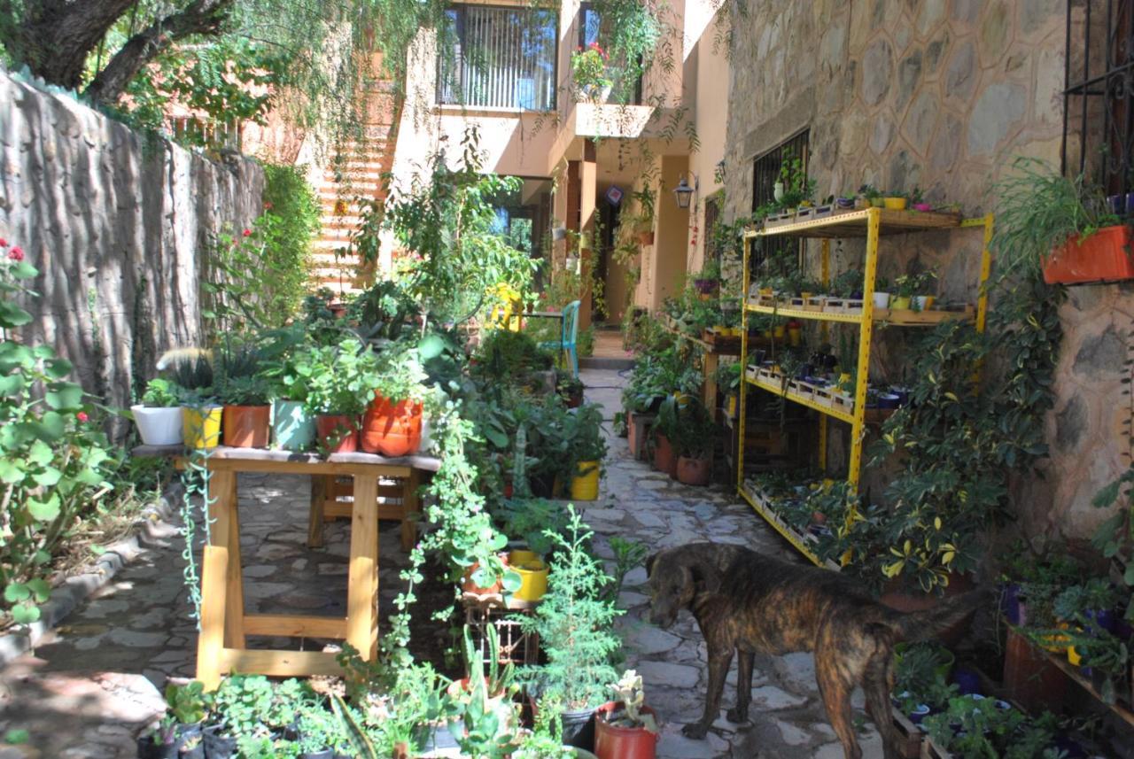 Apartamento En El Vivero 蒂尔卡拉 外观 照片