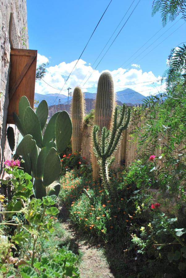 Apartamento En El Vivero 蒂尔卡拉 外观 照片