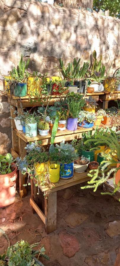 Apartamento En El Vivero 蒂尔卡拉 外观 照片