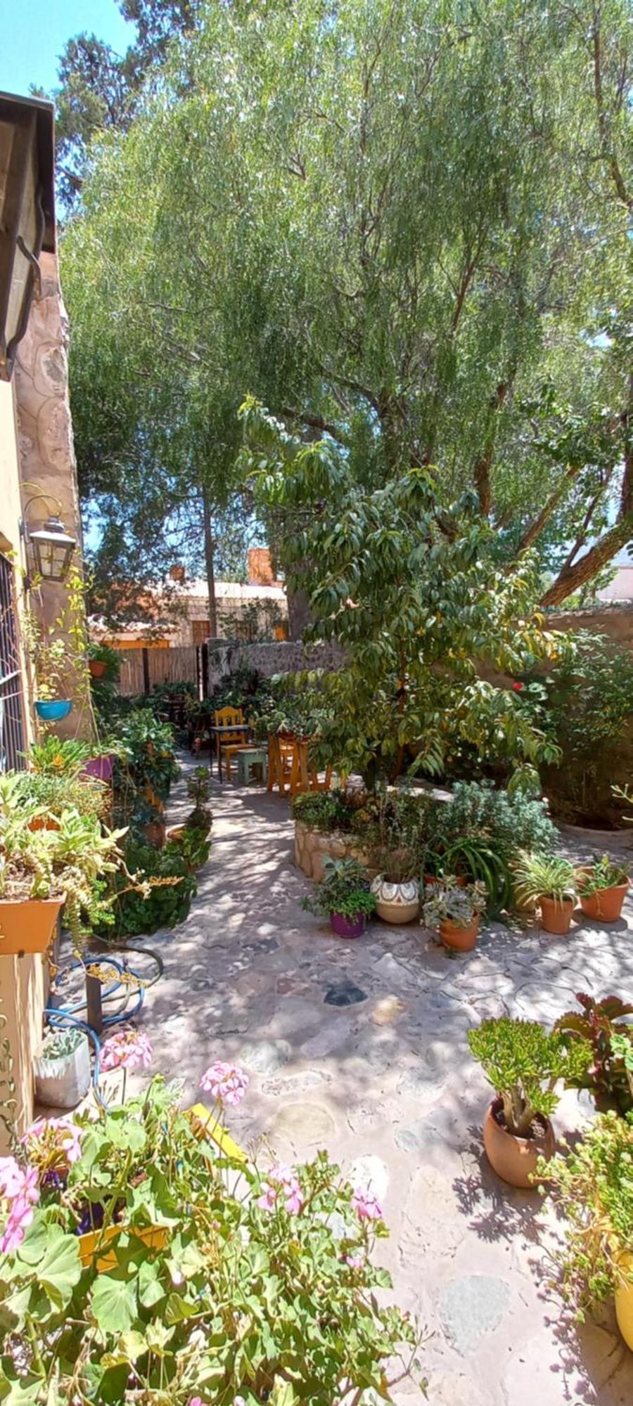 Apartamento En El Vivero 蒂尔卡拉 外观 照片